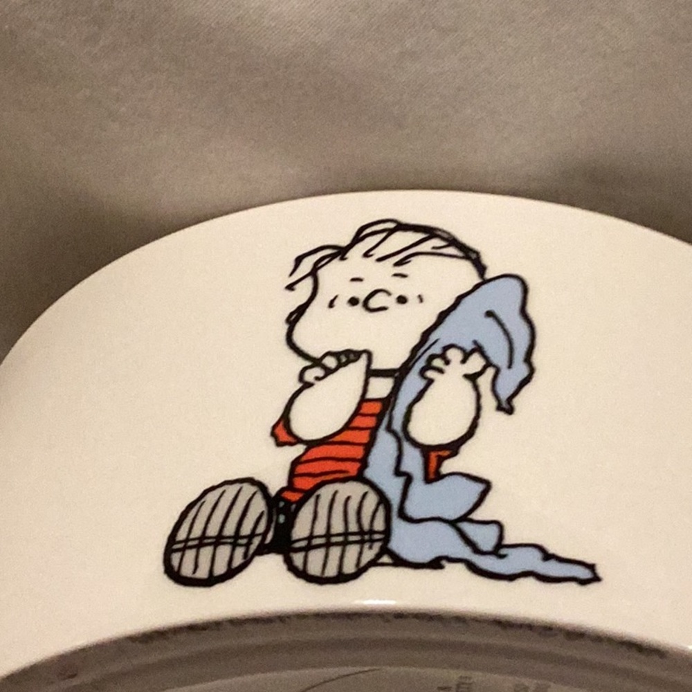 Peanuts Pet Bowl - Picture 5 of 9